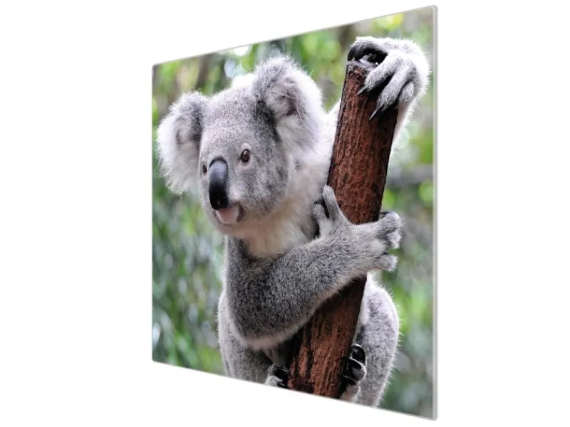 Banjado Herdabdeckplatte Glas 1 Teilig 60x52CM Schneidebrett Herdabdeckung Mit Motiv Koala< Schneidebretter|Herde
