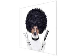 Banjado Herdabdeckplatte Glas 1 Teilig 60x52CM Schneidebrett Herdabdeckung Mit Motiv Friseur Jack Russel< Herde|Kochfelder