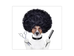 Banjado Herdabdeckplatte Glas 1 Teilig 60x52CM Schneidebrett Herdabdeckung Mit Motiv Friseur Jack Russel< Herde|Kochfelder