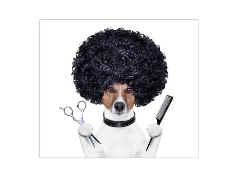 Banjado Herdabdeckplatte Glas 1 Teilig 60x52CM Schneidebrett Herdabdeckung Mit Motiv Friseur Jack Russel< Herde|Kochfelder