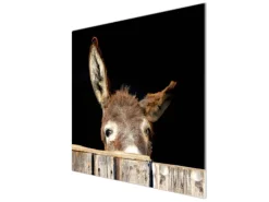 Banjado Herdabdeckplatte Glas 1 Teilig 60x52CM Schneidebrett Herdabdeckung Mit Motiv Esel< Schneidebretter|Herdabdeckungen