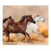 Banjado Herdabdeckplatte Glas 2 Teilig Je 30x52CM Schneidebrett Herdabdeckung Mit Motiv Wilde Pferde< Herde|Kochfelder