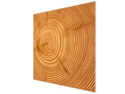 Banjado Herdabdeckplatte Glas 1 Teilig 60x52CM Schneidebrett Herdabdeckung Mit Motiv Baumstamm< Kochfelder|Herdabdeckungen