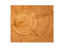 Banjado Herdabdeckplatte Glas 1 Teilig 60x52CM Schneidebrett Herdabdeckung Mit Motiv Baumstamm< Kochfelder|Herdabdeckungen
