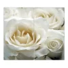 Best Banjado Herdabdeckplatte Glas 2 Teilig Je 30x52CM Schneidebrett Herdabdeckung Mit Motiv White Roses