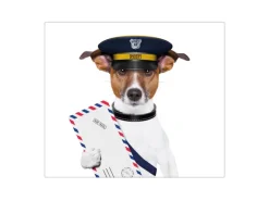 Banjado Schneidebretter|Herdabdeckungen<Herdabdeckplatte Glas 1 Teilig 60x52CM Schneidebrett Herdabdeckung Mit Motiv Postbote Jack Russel