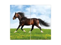 Sale Banjado Herdabdeckplatte Glas 2 Teilig Je 30x52CM Schneidebrett Herdabdeckung Mit Motiv Pferd