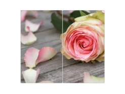 Discount Banjado Herdabdeckplatte Glas 2 Teilig Je 30x52CM Schneidebrett Herdabdeckung Mit Motiv Rosa Rose
