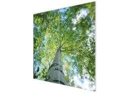 Banjado Herdabdeckplatte Glas 2 Teilig Je 30x52CM Schneidebrett Herdabdeckung Mit Motiv Zwischen Bäumen 5< Herdabdeckungen|Kochfelder