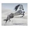 Banjado Herde|Kochfelder<Herdabdeckplatte Glas 2 Teilig Je 30x52CM Schneidebrett Herdabdeckung Mit Motiv Wildes Pferd