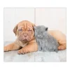 Banjado Herdabdeckplatte Glas 2 Teilig Je 30x52CM Schneidebrett Herdabdeckung Mit Motiv Hund Und Katze< Schneidebretter|Herdabdeckungen