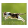 Outlet Banjado Herdabdeckplatte Glas 2 Teilig Je 30x52CM Schneidebrett Herdabdeckung Mit Motiv Jagende Katze