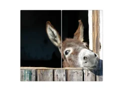 Discount Banjado Herdabdeckplatte Glas 2 Teilig Je 30x52CM Schneidebrett Herdabdeckung Mit Motiv Nicki