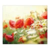Banjado Herdabdeckplatte Glas 1 Teilig 60x52CM Schneidebrett Herdabdeckung Mit Motiv Kamille Und Mohn< Herdabdeckungen|Kochfelder