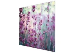 Banjado Herdabdeckplatte Glas 1 Teilig 60x52CM Schneidebrett Herdabdeckung Mit Motiv Lavendel 2< Schneidebretter|Herdabdeckungen
