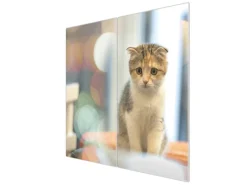 Hot Banjado Herdabdeckplatte Glas 2 Teilig Je 30x52CM Schneidebrett Herdabdeckung Mit Motiv Kleine Katze