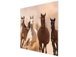 Banjado Schneidebretter|Kochfelder<Herdabdeckplatte Glas 1 Teilig 60x52CM Schneidebrett Herdabdeckung Mit Motiv Mongolische Stimmung