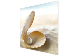 Discount Banjado Herdabdeckplatte Glas 1 Teilig 60x52CM Schneidebrett Herdabdeckung Mit Motiv Perlenmuschel