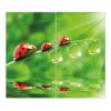 Banjado Herde|Kochfelder<Herdabdeckplatte Glas 2 Teilig Je 30x52CM Schneidebrett Herdabdeckung Mit Motiv Für Jeden Einen