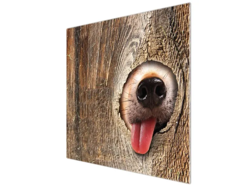 Sale Banjado Herdabdeckplatte Glas 1 Teilig 60x52CM Schneidebrett Herdabdeckung Mit Motiv Rumschnüffeln