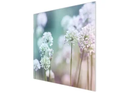 Banjado Herdabdeckplatte Glas 1 Teilig 60x52CM Schneidebrett Herdabdeckung Mit Motiv Lauchblüte< Herde|Kochfelder