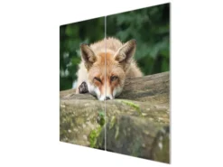 Banjado Herdabdeckplatte Glas 2 Teilig Je 30x52CM Schneidebrett Herdabdeckung Mit Motiv Fuchs Relax< Schneidebretter|Herdabdeckungen