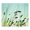 Banjado Herdabdeckplatte Glas 1 Teilig 60x52CM Schneidebrett Herdabdeckung Mit Motiv Gräser< Herdabdeckungen|Herde
