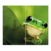 Banjado Herdabdeckplatte Glas 2 Teilig Je 30x52CM Schneidebrett Herdabdeckung Mit Motiv Frosch< Schneidebretter|Herde