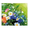 Banjado Herdabdeckungen|Kochfelder<Herdabdeckplatte Glas 1 Teilig 60x52CM Schneidebrett Herdabdeckung Mit Motiv Blumenstrauß
