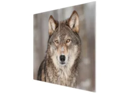 Banjado Schneidebretter|Herdabdeckungen<Herdabdeckplatte Glas 2 Teilig Je 30x52CM Schneidebrett Herdabdeckung Mit Motiv Soraya