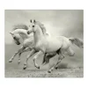 Banjado Schneidebretter|Herde<Herdabdeckplatte Glas 1 Teilig 60x52CM Schneidebrett Herdabdeckung Mit Motiv Wilde Pferde Sw