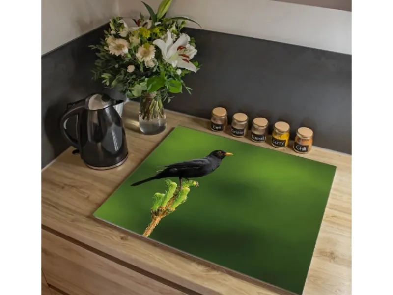 Banjado Schneidebretter|Herdabdeckungen<Herdabdeckplatte Glas 1 Teilig 60x52CM Schneidebrett Herdabdeckung Mit Motiv Vogel Auf Tannenzweig