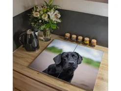 Discount Banjado Herdabdeckplatte Glas 2 Teilig Je 30x52CM Schneidebrett Herdabdeckung Mit Motiv Paolo