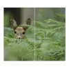 Banjado Schneidebretter|Herdabdeckungen<Herdabdeckplatte Glas 2 Teilig Je 30x52CM Schneidebrett Herdabdeckung Mit Motiv Reh