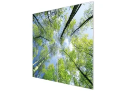 Hot Banjado Herdabdeckplatte Glas 2 Teilig Je 30x52CM Schneidebrett Herdabdeckung Mit Motiv Zwischen Bäumen 3