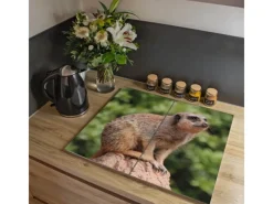 Hot Banjado Herdabdeckplatte Glas 2 Teilig Je 30x52CM Schneidebrett Herdabdeckung Mit Motiv Sitzendes Erdmännchen