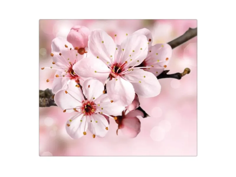 Banjado Herdabdeckungen|Herde<Herdabdeckplatte Glas 1 Teilig 60x52CM Schneidebrett Herdabdeckung Mit Motiv Japanische Kirsche