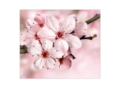 Banjado Herdabdeckungen|Herde<Herdabdeckplatte Glas 1 Teilig 60x52CM Schneidebrett Herdabdeckung Mit Motiv Japanische Kirsche