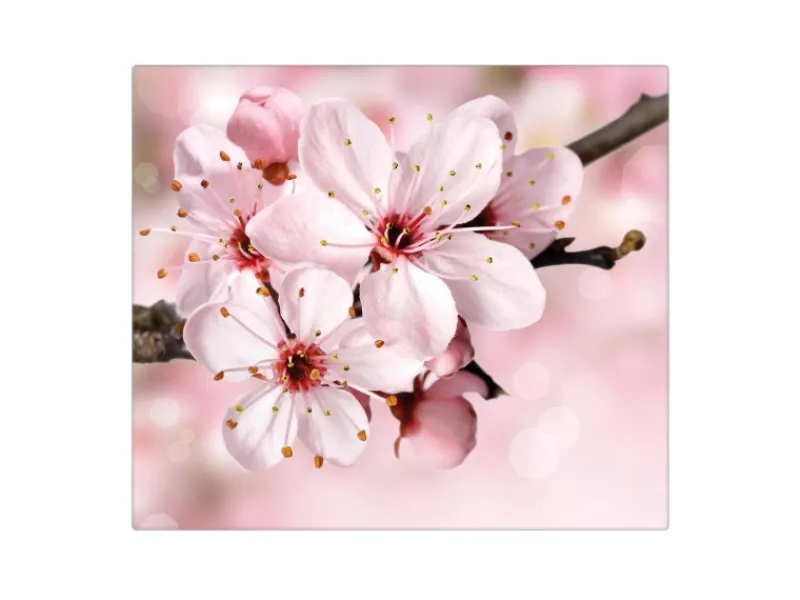 Banjado Herdabdeckungen|Herde<Herdabdeckplatte Glas 1 Teilig 60x52CM Schneidebrett Herdabdeckung Mit Motiv Japanische Kirsche