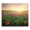 Clearance Banjado Herdabdeckplatte Glas 1 Teilig 60x52CM Schneidebrett Herdabdeckung Mit Motiv Sommerfeld