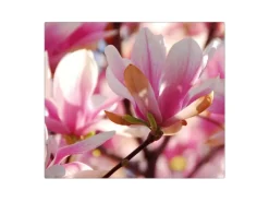 Banjado Schneidebretter|Herdabdeckungen<Herdabdeckplatte Glas 1 Teilig 60x52CM Schneidebrett Herdabdeckung Mit Motiv Magnolia