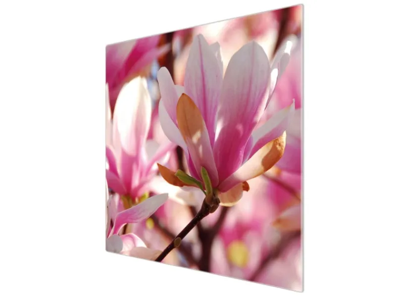 Banjado Schneidebretter|Herdabdeckungen<Herdabdeckplatte Glas 1 Teilig 60x52CM Schneidebrett Herdabdeckung Mit Motiv Magnolia