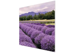 Hot Banjado Herdabdeckplatte Glas 1 Teilig 60x52CM Schneidebrett Herdabdeckung Mit Motiv Lavendel 1