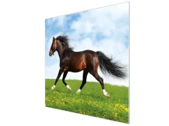 Banjado Herdabdeckungen|Kochfelder<Herdabdeckplatte Glas 1 Teilig 60x52CM Schneidebrett Herdabdeckung Mit Motiv Pferd