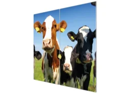 Banjado Herdabdeckplatte Glas 2 Teilig Je 30x52CM Schneidebrett Herdabdeckung Mit Motiv Kühe< Schneidebretter|Herdabdeckungen