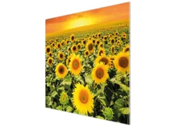 Banjado Herdabdeckplatte Glas 1 Teilig 60x52CM Schneidebrett Herdabdeckung Mit Motiv Sonnenblumenmeer< Schneidebretter|Herdabdeckungen