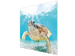 Banjado Herdabdeckplatte Glas 1 Teilig 60x52CM Schneidebrett Herdabdeckung Mit Motiv Elvis< Herdabdeckungen|Schneidebretter