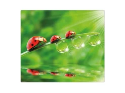 Discount Banjado Herdabdeckplatte Glas 1 Teilig 60x52CM Schneidebrett Herdabdeckung Mit Motiv Für Jeden Einen