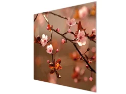 Banjado Schneidebretter|Herde<Herdabdeckplatte Glas 1 Teilig 60x52CM Schneidebrett Herdabdeckung Mit Motiv Blühender Kirschzweig