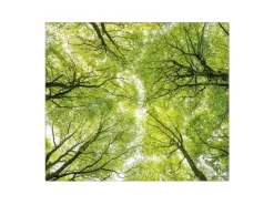 Banjado Herdabdeckplatte Glas 1 Teilig 60x52CM Schneidebrett Herdabdeckung Mit Motiv Zwischen Bäumen< Schneidebretter|Herdabdeckungen